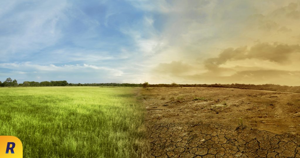 cambio climático alergias